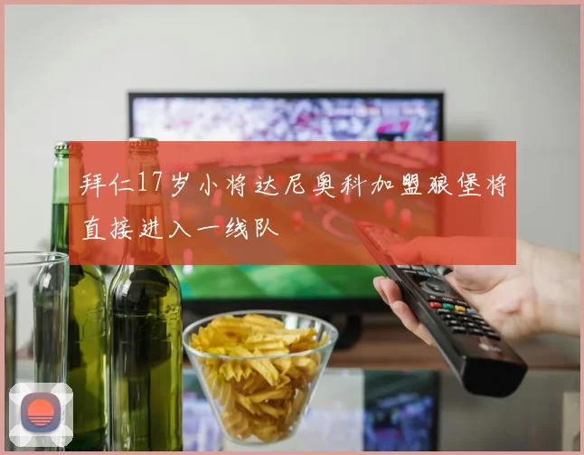 拜仁17岁小将达尼奥科加盟狼堡将直接进入一线队